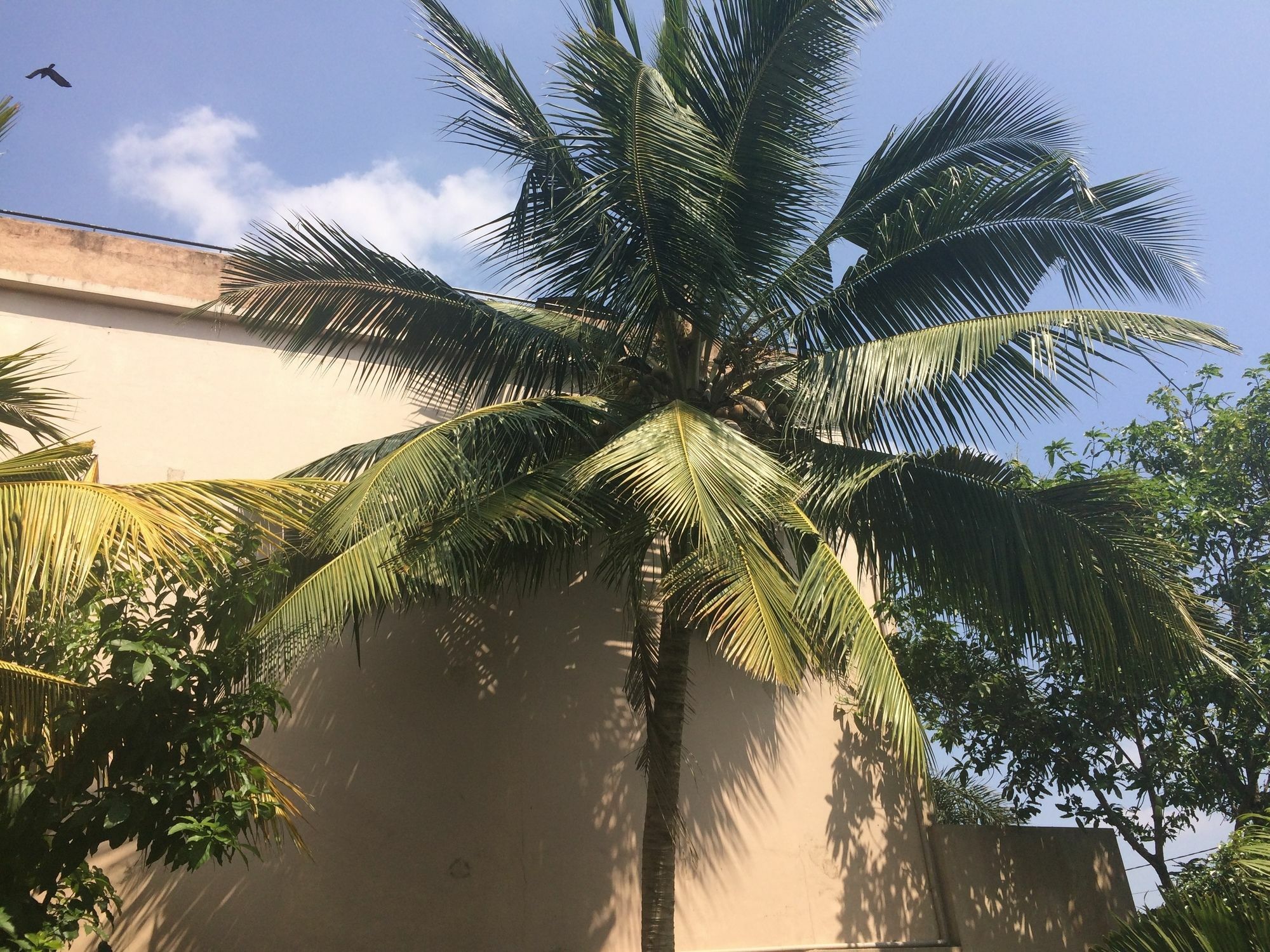 The Norfolk Heritage Airport Villa Katunayaka Ngoại thất bức ảnh